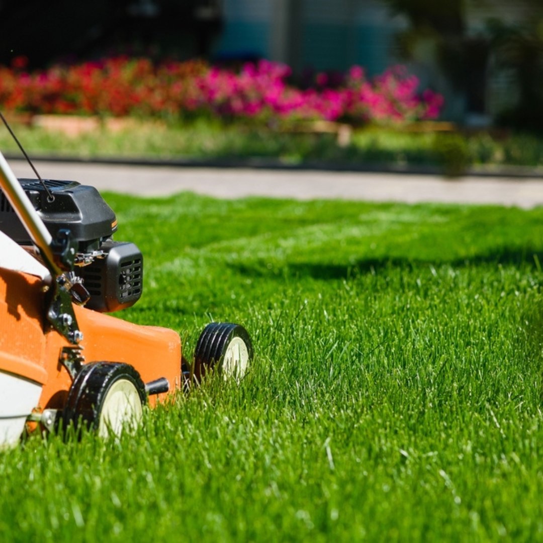 Jardinería y Mantenimiento de Zonas Verdes